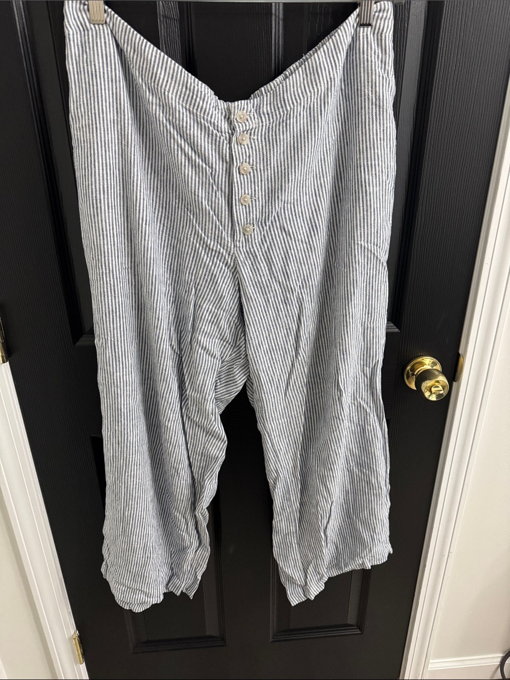 Universal Thread Blue and White Striped Cropped Button-Front Pants